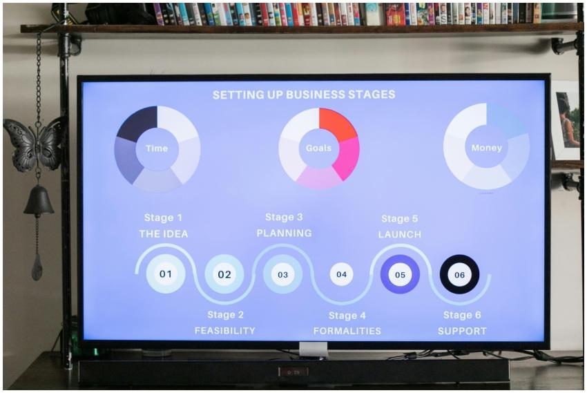 A detailed infographic on setting up business stag