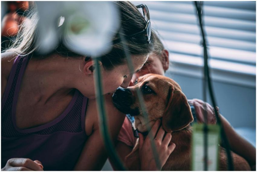 A woman affectionately cuddles her dog indoors, sh