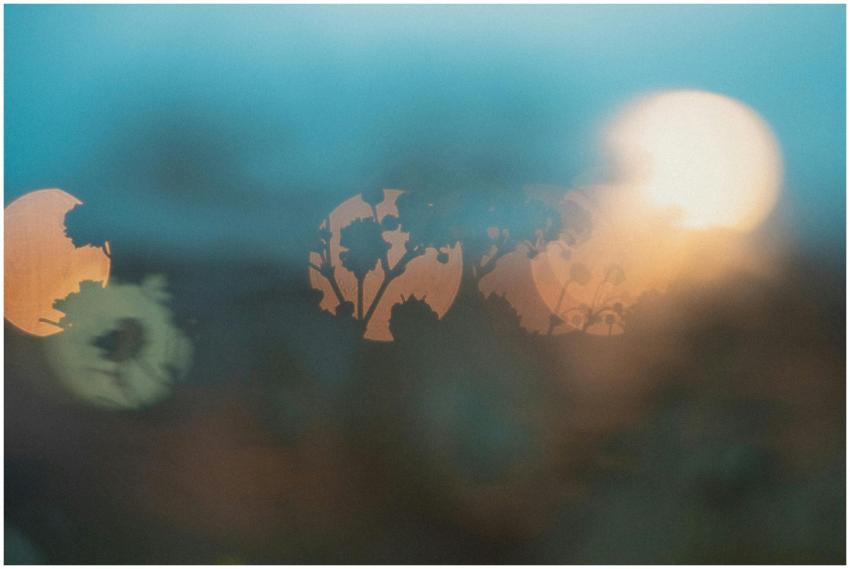 Soft floral silhouette captured with bokeh effect