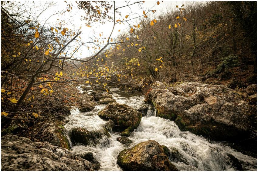 Calm autumn river flowing through rocky woodland.