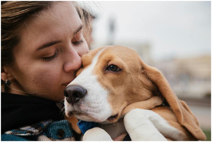 A close-up of a woman lovingly hugging a beagle ou