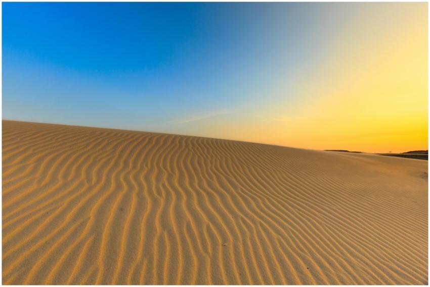 Golden sand dunes stretch across the desert landsc