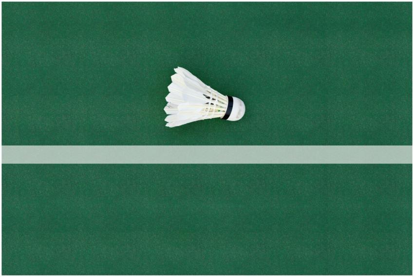 A shuttlecock lies on a green badminton court floo