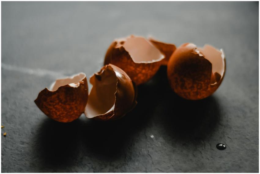 Macro shot of broken brown eggshells on a dark bac