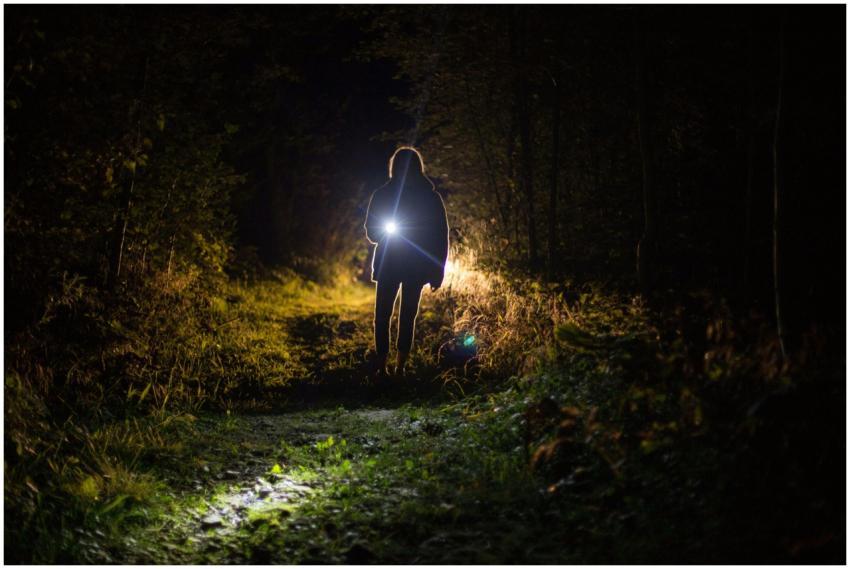 A lone woman with a flashlight illuminates a dark