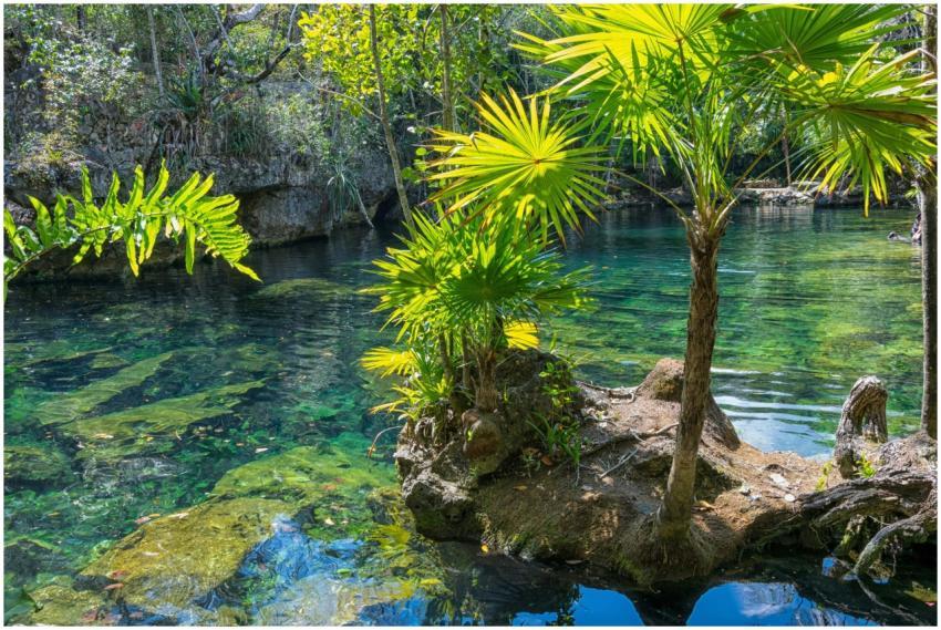 Explore a tranquil tropical setting with lush gree