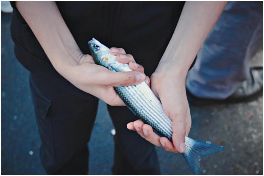 Created with RNI Films app. Profile 'Fuji Astia 10