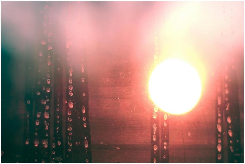 Water droplets and sunlight create a mesmerizing a