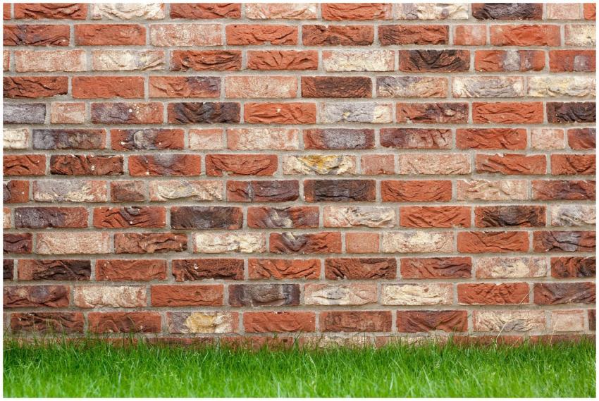 A textured red brick wall with fresh green grass a