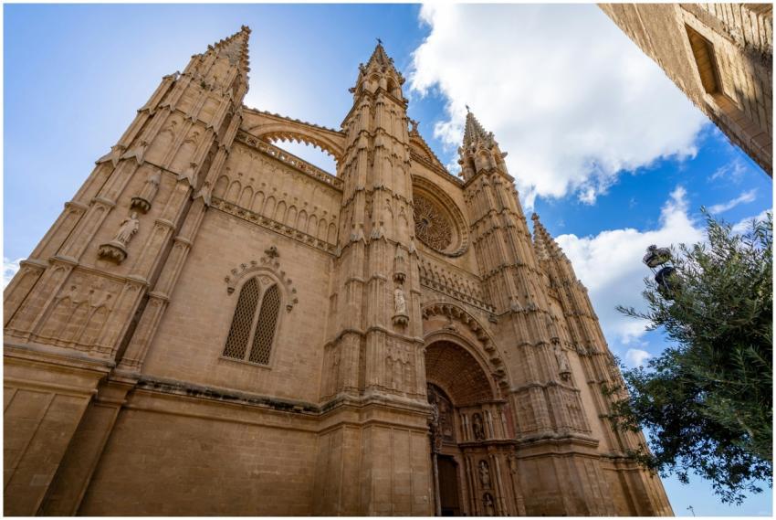 Explore the stunning Gothic architecture of La Seu