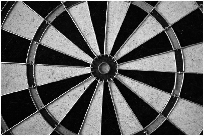 Monochrome image of a dartboard showcasing its geo