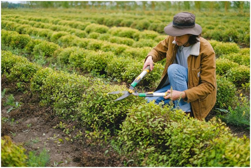 Side view of male gardener wearing hat squatting a