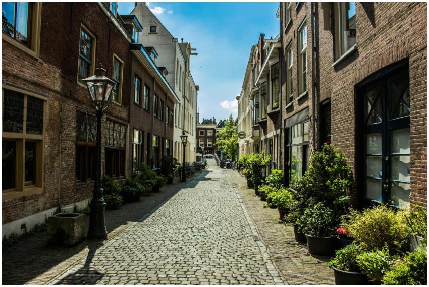Picturesque cobblestone street with classic Dutch