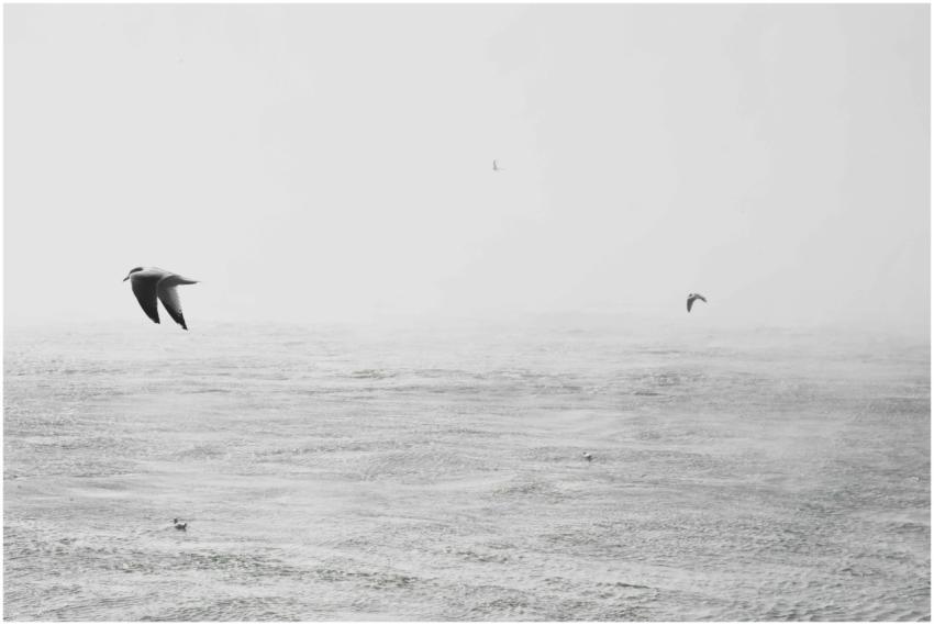 Seagulls glide over a serene ocean scene in a mini