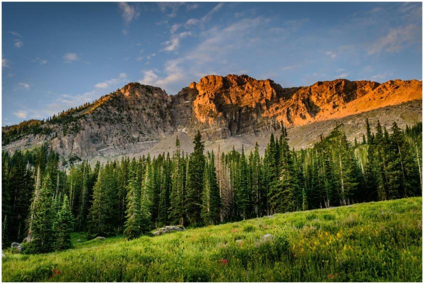 Scenic sunrise view of forested mountain landscape