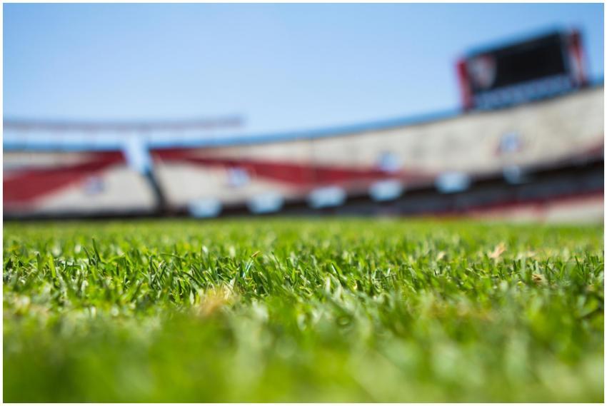 Close-up of grass with a blurred stadium backgroun