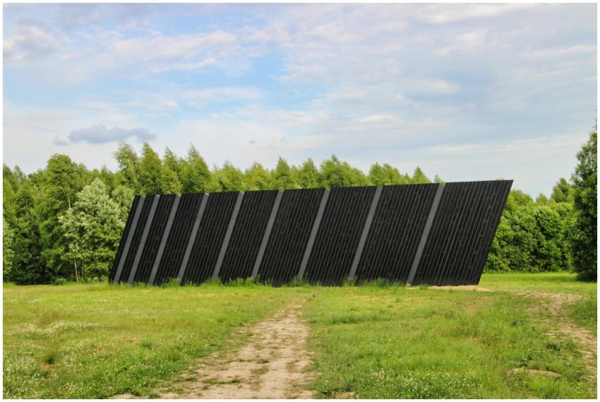 Solar panel installation in a grassy field under c