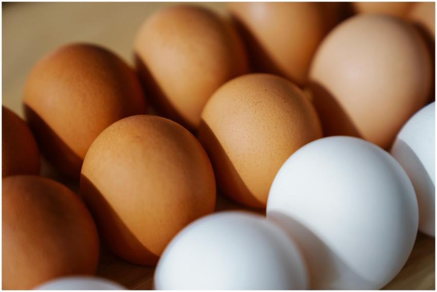 Close-up of brown and white eggs arranged on a sur