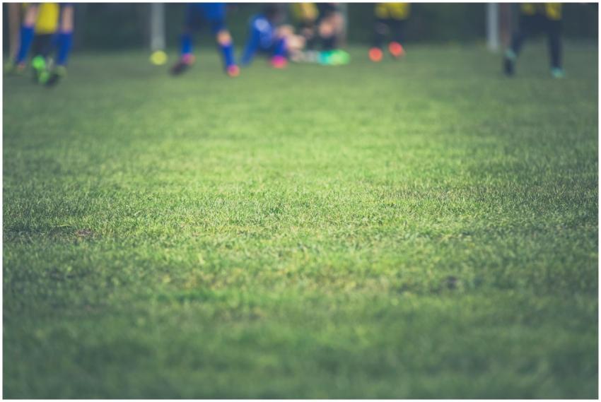 A vibrant grass field with blurred soccer players