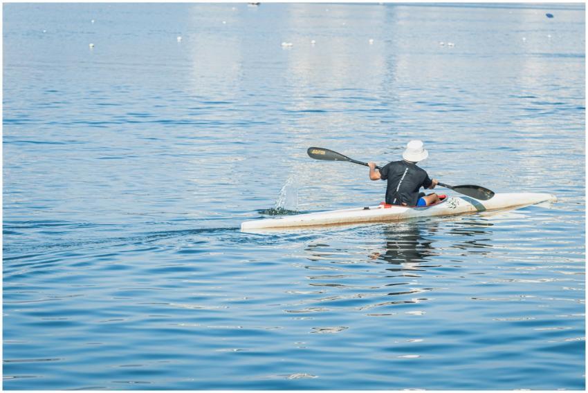 Free stock photo of boat, sea