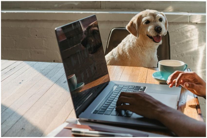 Crop anonymous young African American female freel