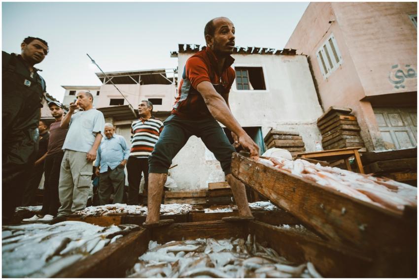 Lively Fish Market Scene