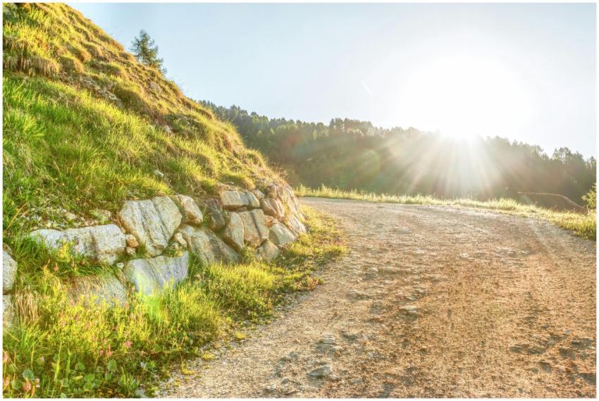 Serene landscape of a sunlit dirt road curving thr