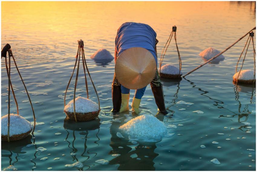 A person harvesting salt in shallow waters at suns