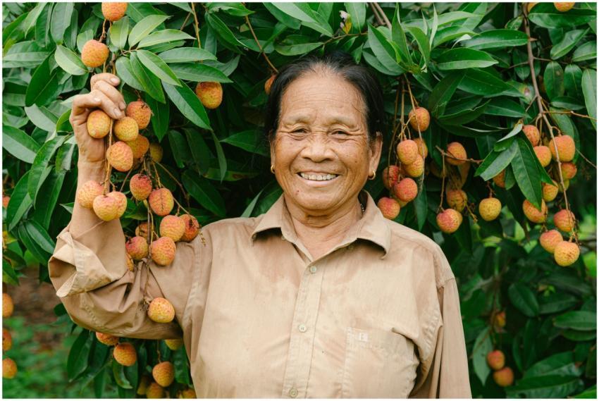 A smiling senior woman holding a bunch of ripe lyc