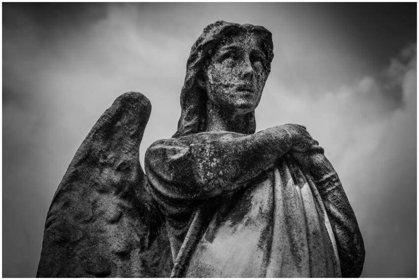 A dramatic black and white image of an angelic sta