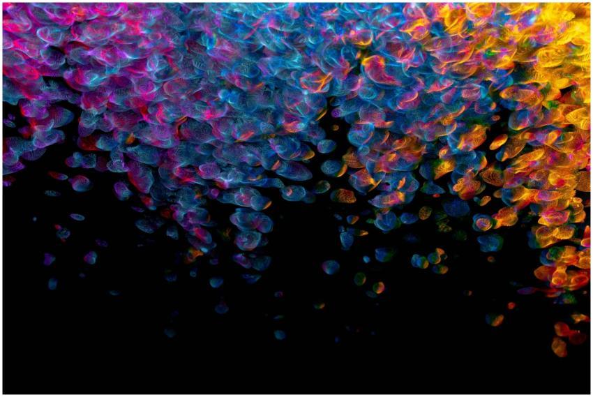 Colorful abstract digital artwork featuring dynami