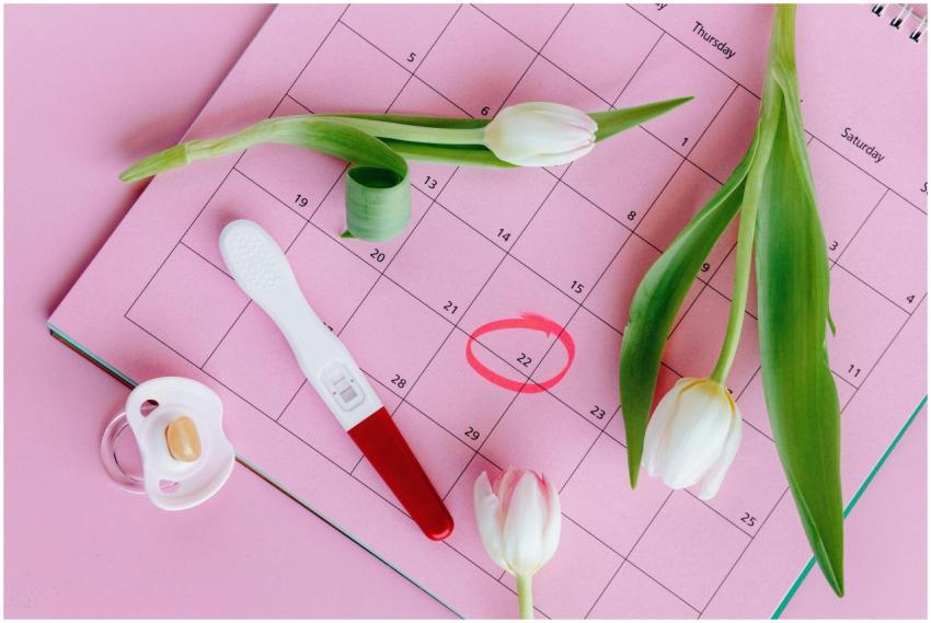 Pregnancy test on pink calendar with tulips, symbo