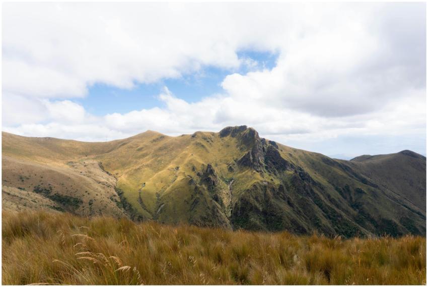 A stunning view of the Andean mountains under a vi