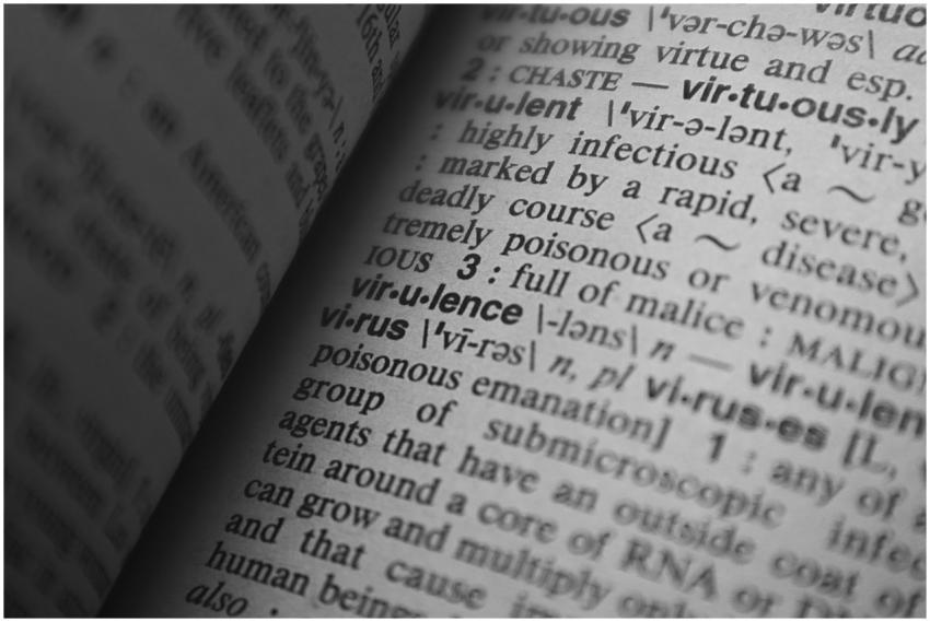 Black and white close-up of a dictionary page show