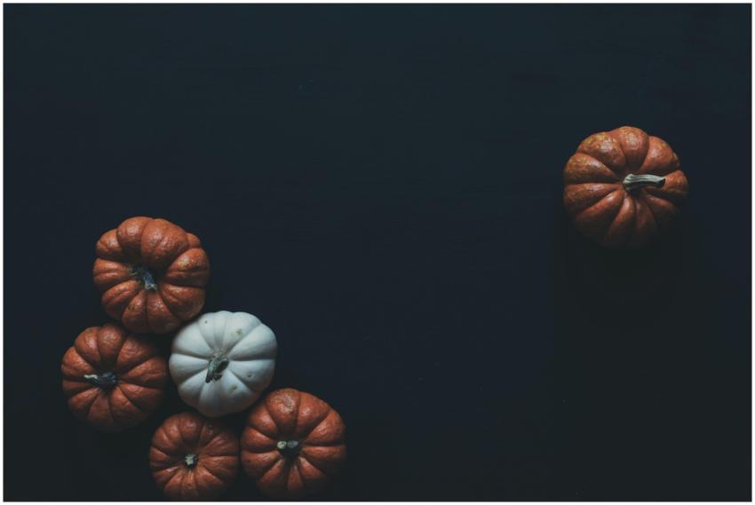 A minimalist still life featuring small orange and