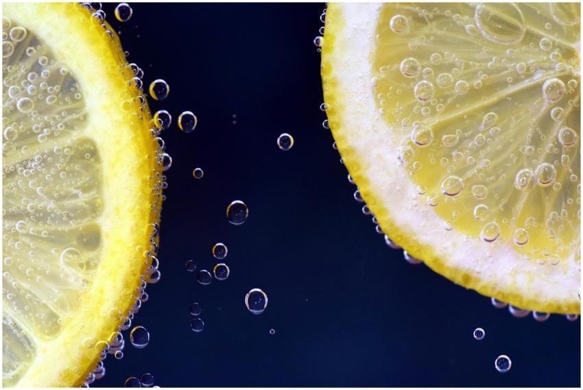 Close-up of lemon slices with bubbles, capturing f