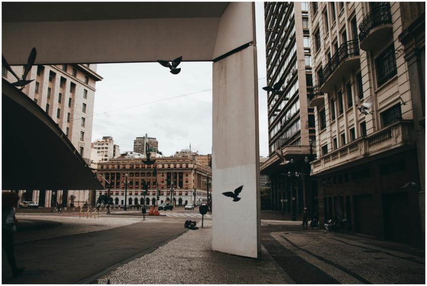 Street view of São Paulo with flying pigeons, arch