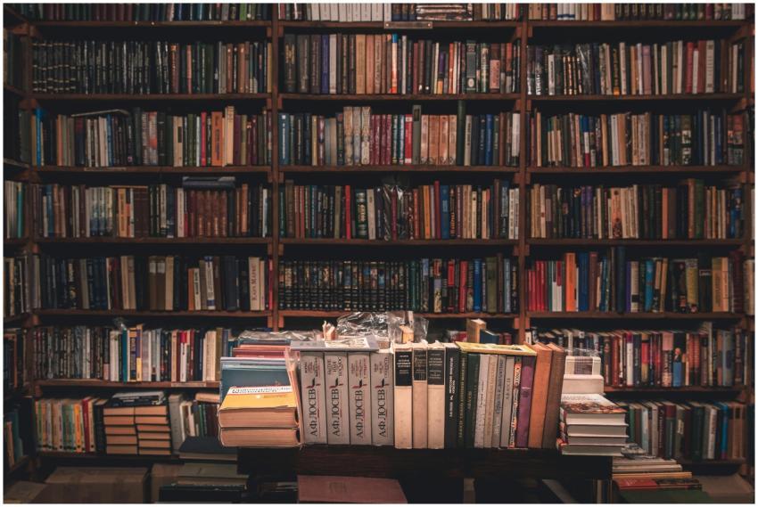 A tranquil library filled with books on wooden she