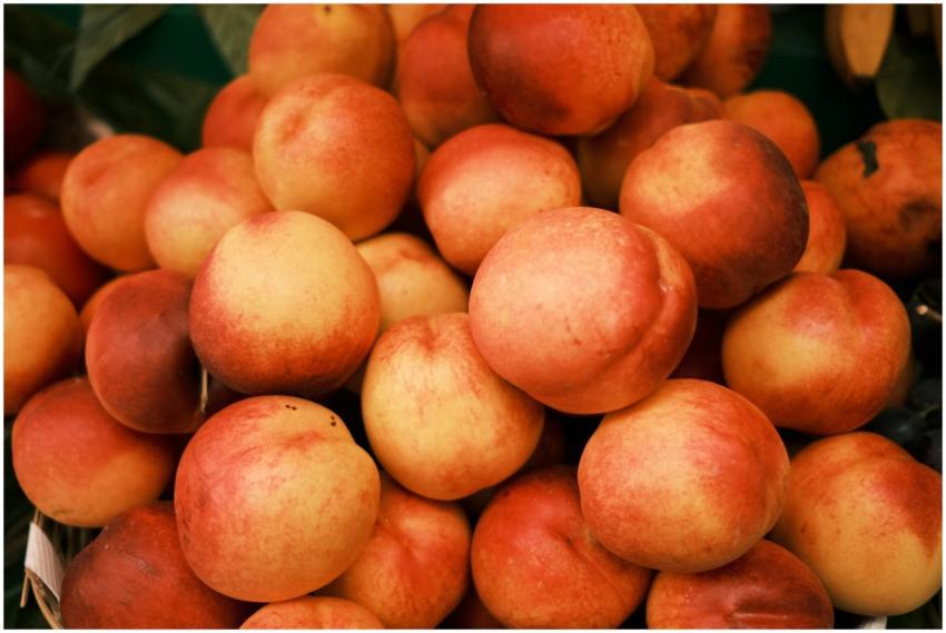 A vibrant pile of ripe peaches displayed at an out