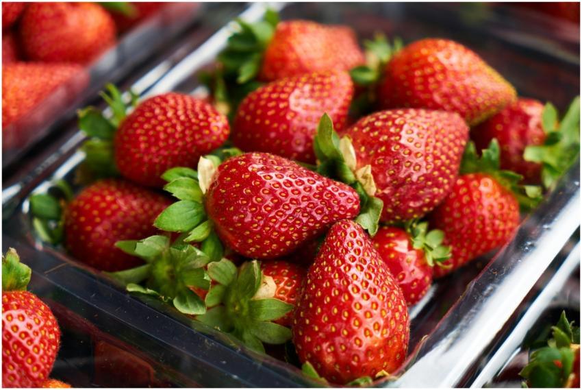 Close-up of ripe strawberries in a clear plastic c