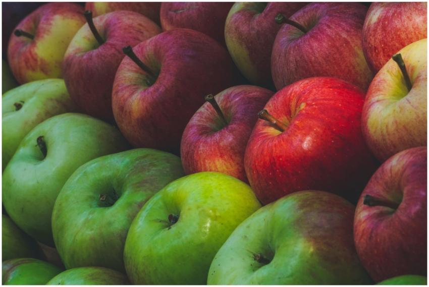 A vibrant pile of fresh red and green apples showc