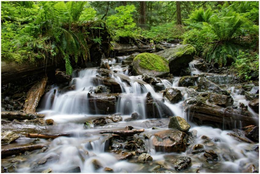 Peaceful waterfall cascading through lush forest,
