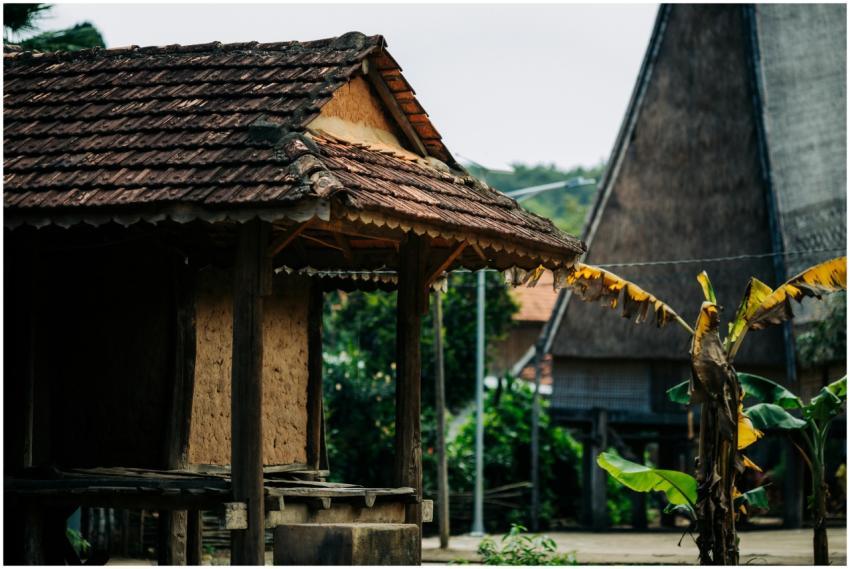 Traditional Wooden House Rural