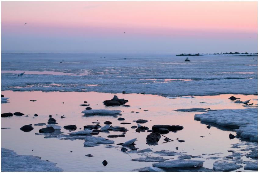 Tranquil icy seashore at sunset with pink skies re