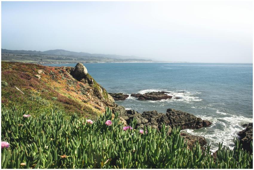 Beautiful view of the California coastline with cl