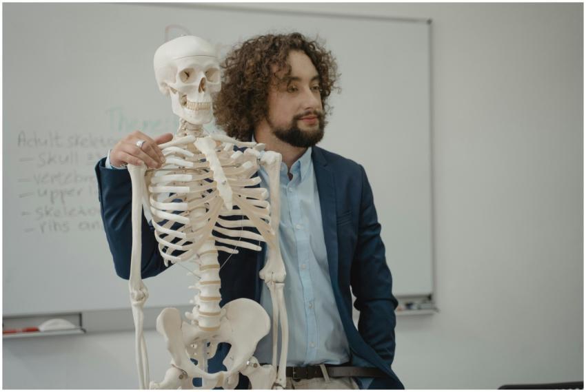 Educator demonstrating human skeleton model during