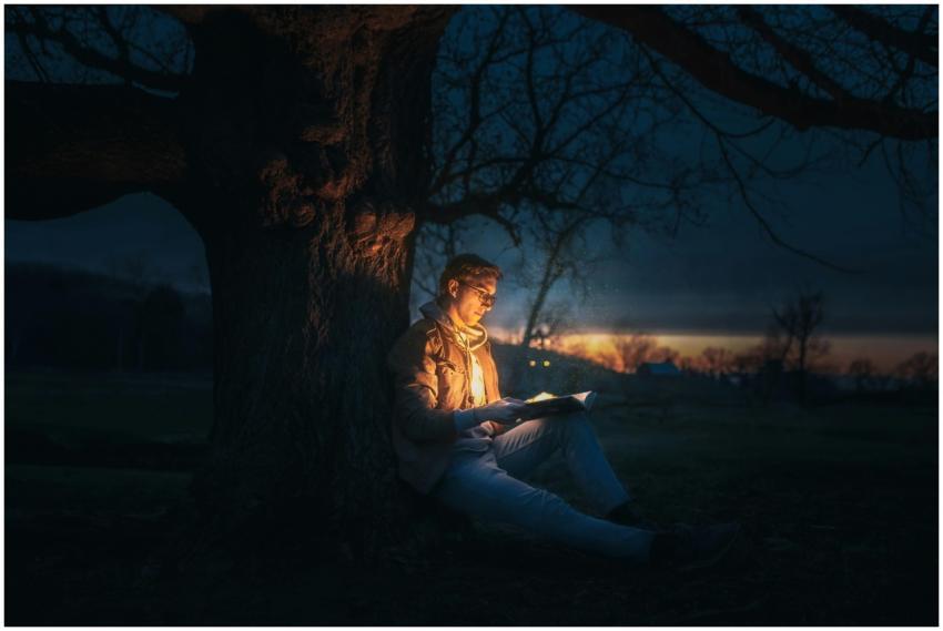 A man reading under a tree at night, illuminated b