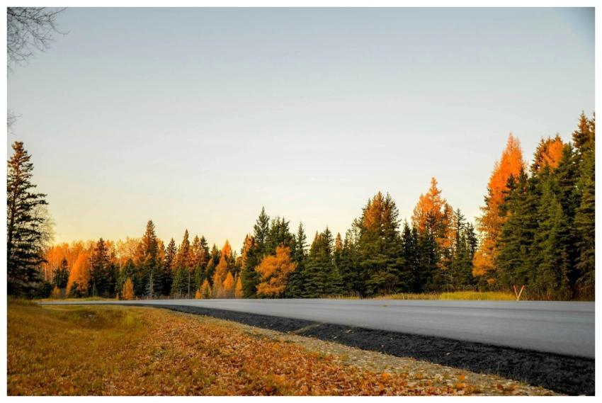 A peaceful autumn road surrounded by vibrant fall