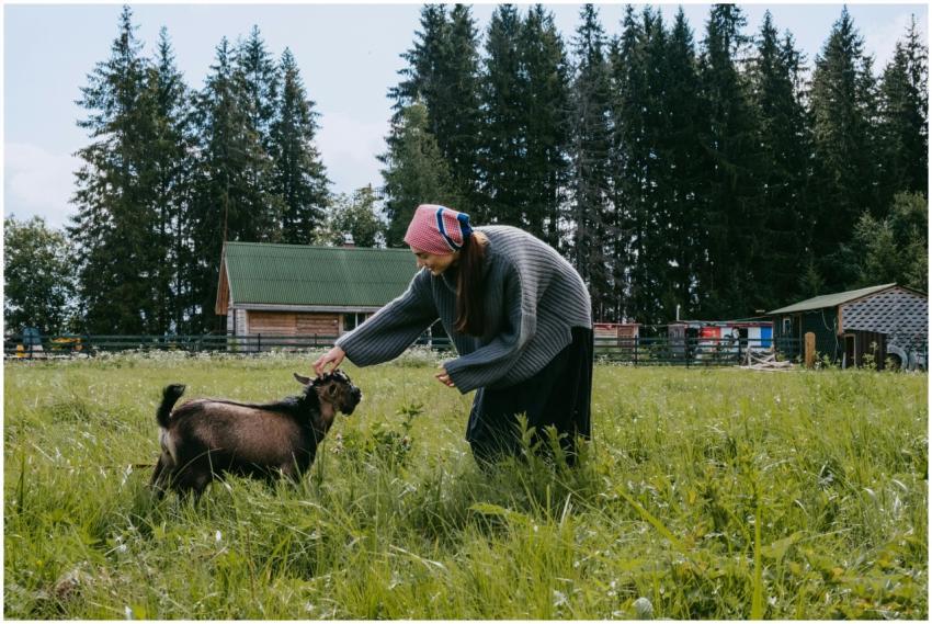 Woman feeding a goat on a rural farm with lush gre