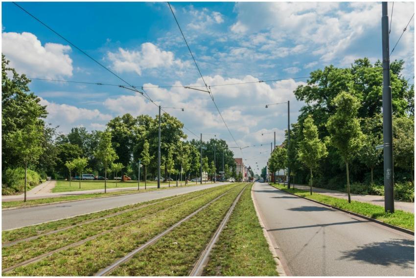 Explore the serene urban sidewalks and tram tracks